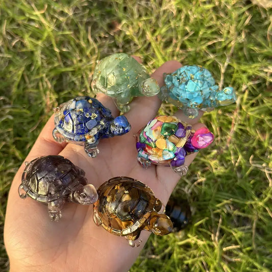 Ma Tortue Porte Bonheur