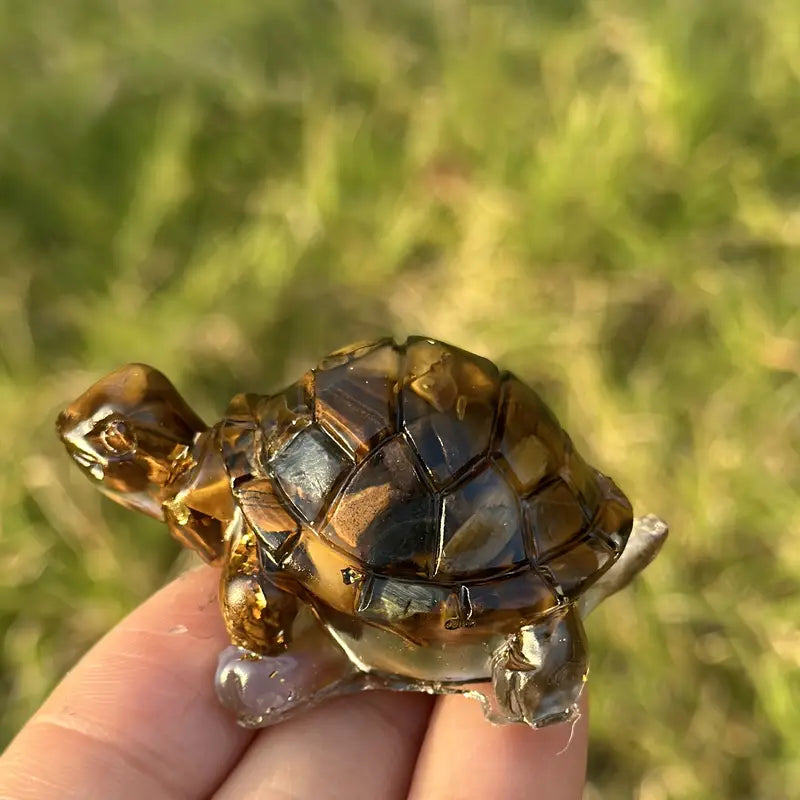 Ma Tortue Porte Bonheur
