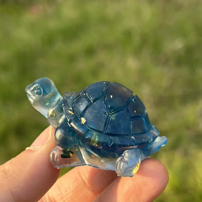Ma Tortue Porte Bonheur
