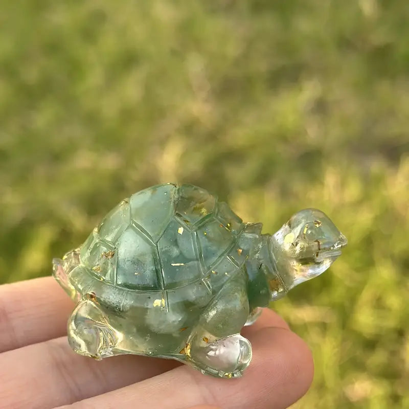 Ma Tortue Porte Bonheur